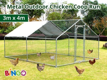 Chicken Coop Chicken Run