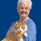 Sandy Taylor & David Wang