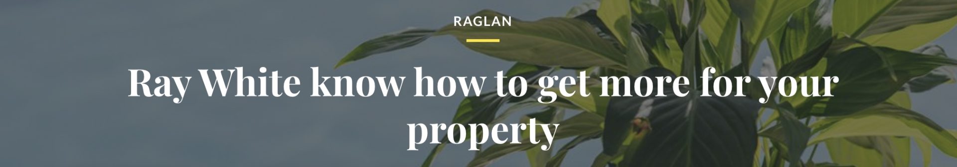 Property