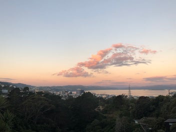 13 Laura Avenue, Brooklyn, Wellington