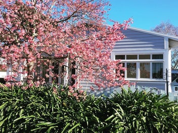 16 Buchanan Street, Mangapapa, Gisborne