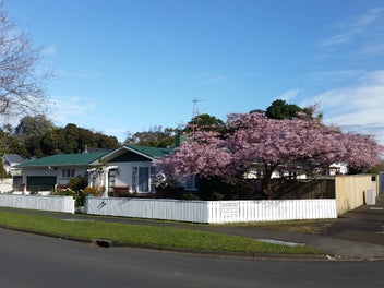 134 Heads Road, Gonville, Whanganui