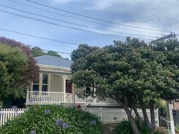 11 Danube Street, Island Bay, Wellington