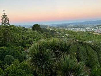 32 Havelock Street, Mornington, Wellington