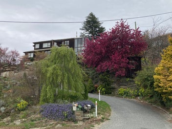 36 Earnscleugh Road, Bridge Hill, Alexandra
