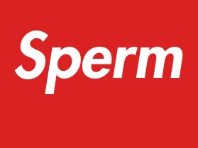 44 Alec Craig Way, Gulf Harbour, Whangaparaoa