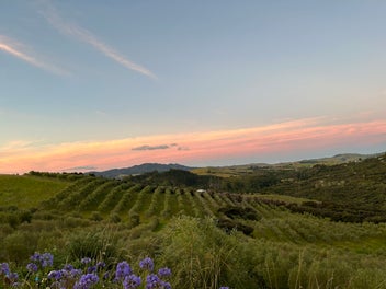 92 Frantoio Ridge Road, Mangonui
