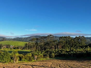 2134 Cove Road, MANGAWHAI, Mangawhai