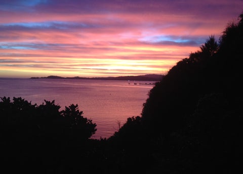 123 Marine Drive, Sorrento Bay, Lower Hutt