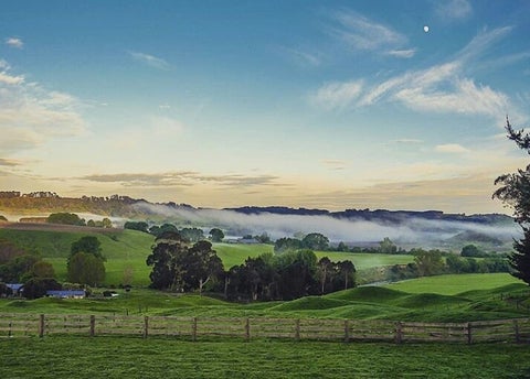 273 Kumuiti Road, Whanganui