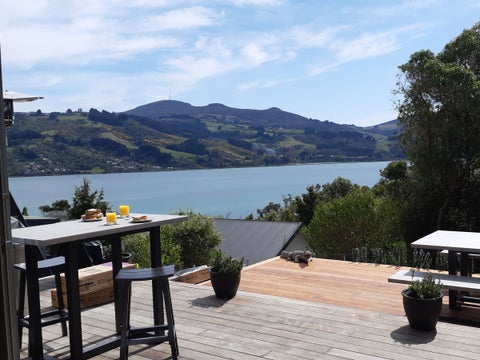 19 Raynbird Street, Company Bay, Dunedin