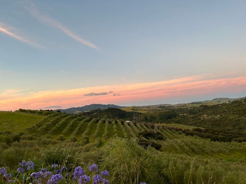 92 Frantoio Ridge Road, Mangonui, Mangonui