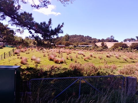 0 Coast Rd, Pongaroa