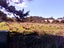 0 Coast Rd, Pongaroa - Carousel 1