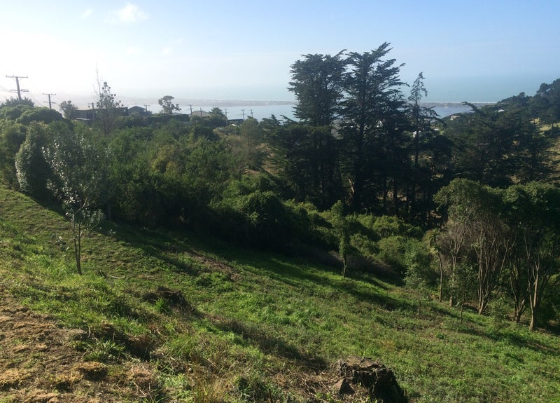 Property Valuation for 291 Mt Pleasant Road, Mount Pleasant