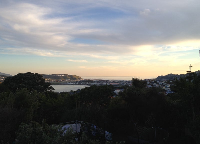 51 Rakau Road, Hataitai, Wellington - Carousel 1