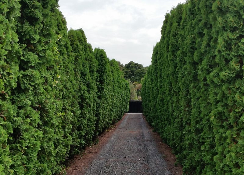 13 Omana Road, Papatoetoe, Auckland - Carousel 1