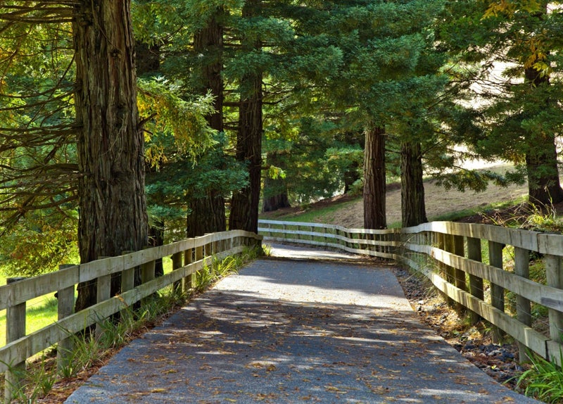 143B GLENMORE RD, Coatesville, Auckland - Carousel 1