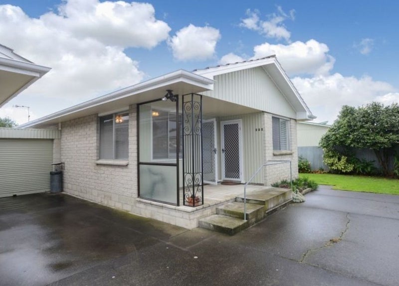 502 Brunswick Street, Mahora, Hastings - Carousel 1