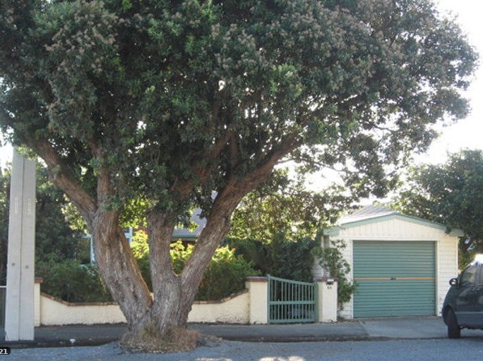 Property Valuation for 64 Oroua Street, Eastbourne, Lower Hutt Trade