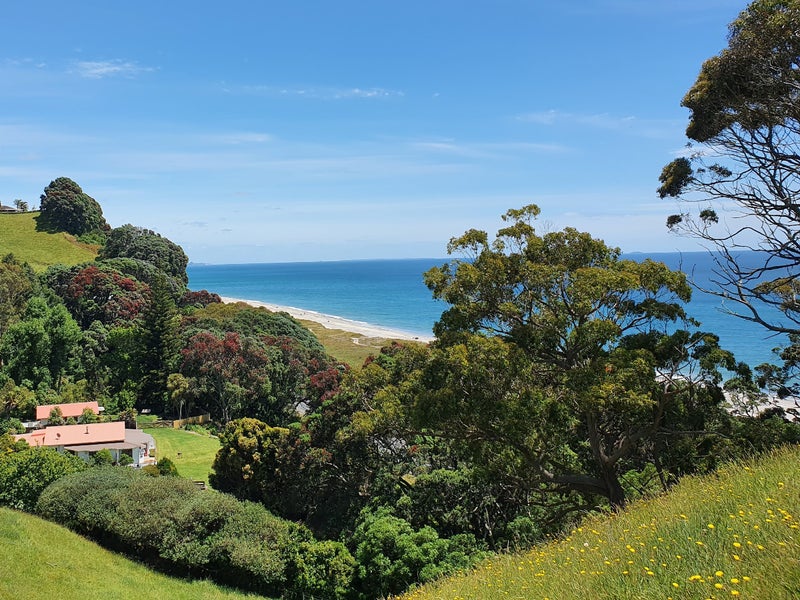 693 State Highway 2 West, Pikowai, Matatā - Carousel 1