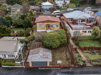 18 Manchester Street, Bradford, Dunedin
