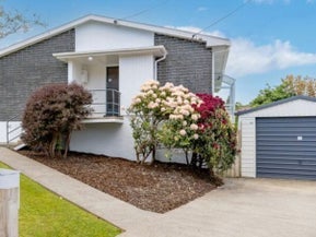 20 Turnbull Street, Brockville, Dunedin