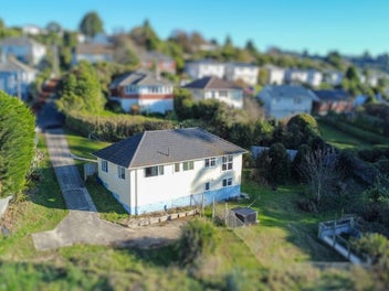 59 Cockerell Street, Brockville, Dunedin