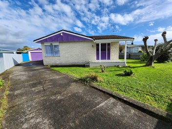 28 Braemar Street, Levin, Levin