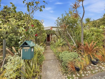 37 Derwent Street, Helensburgh, Dunedin
