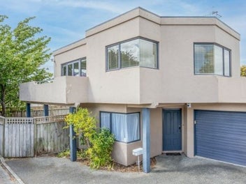 20A Pascal Street, Palmerston North, Palmerston North