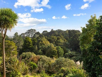 37B Harrisville Road, Tuakau