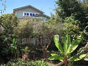 8 Wallingford Street, Grey Lynn, Auckland