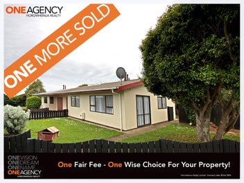 133 Tiro Tiro Road, Levin, Levin