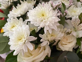 19 The Grove, Red Beach, Whangaparāoa