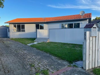 271 Mitchell Street, Brooklyn, Wellington