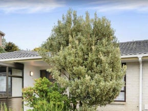 1/5 Rosetta Court, Shelly Park, Manukau