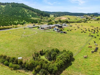 353 Kopuku Road, Maramarua Forest, Te Kauwhata
