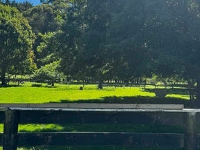 1223 Pohangina Road, Pohangina, Ashhurst