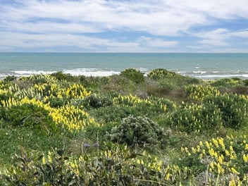7 Kent Avenue, Waitārere Beach, Levin