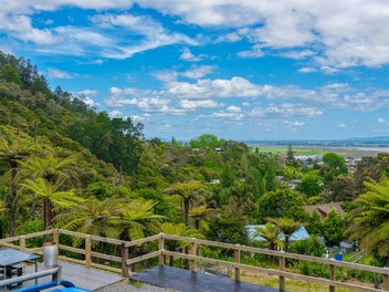 113 Collarbone Road, Thames, Thames