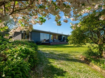 159 Downs Road, Geraldine Downs, Geraldine