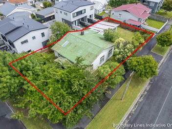 131 Nixon Street, Hamilton East, Hamilton