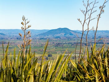 90 Tirohanga Road, Maungatautari, Cambridge