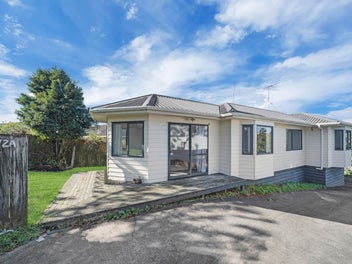 172A White Swan Road, Mount Roskill, Auckland