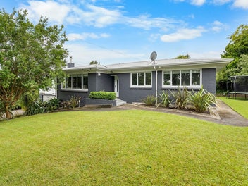 20 Mitcham Avenue, Forest Lake, Hamilton