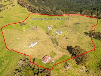 109 Paponga Road, Broadwood, Kohukohu