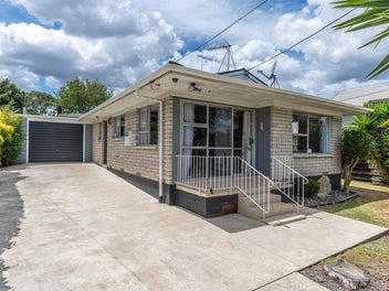 193A Ohaupo Road, Glenview, Hamilton