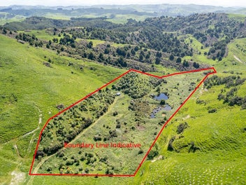 0 Route 52, Alfredton, Eketahuna