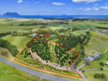 234 Port Marsden Highway, Ruakaka, Whangarei